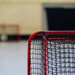 hockey, goal, net