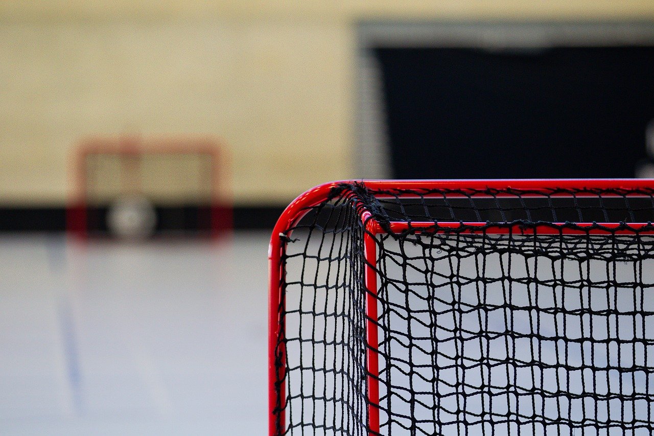 hockey, goal, net